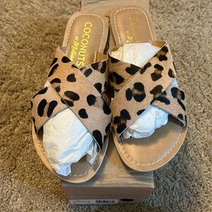 New size 6m coconuts leopard flats